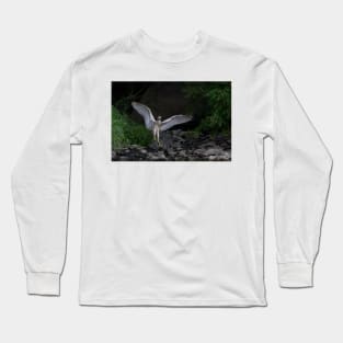 'Night Heron'...Superheron! or Superhero? Long Sleeve T-Shirt